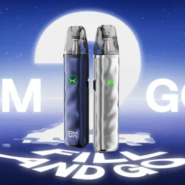 How to Start Beekeeping for Beginners: Everything You Need to Know