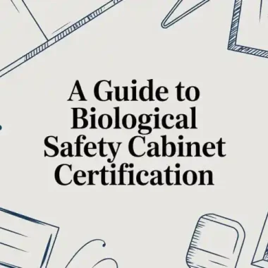 Solving the Launchpad Cold Start With Prediction Memecoins