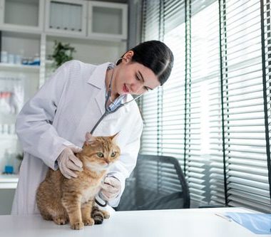 Cupping Massage Explained: A Natural Healing Approach