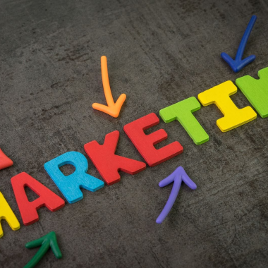 Accountants Email List: A Complete Guide for Targeted B2B Marketing Success